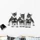 Cute Baby Miniature Schnauzer Puppy Dog on White Wall Decal