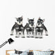 Cute Baby Miniature Schnauzer Puppy Dog on White Wall Decal