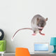 little mouse hidingher muzzle 