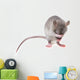 little mouse hidingher muzzle 