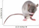 little mouse hidingher muzzle 