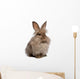 Cute Sitting Chocolate Lionhead Bunny Rabbit Wall Decal