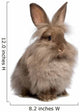 Cute Sitting Chocolate Lionhead Bunny Rabbit Wall Decal