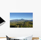 And Plaine Des Kaffirs Wall Decal