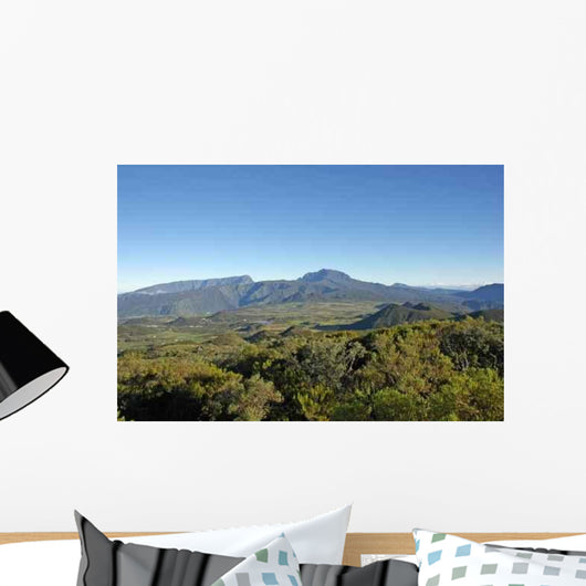 And Plaine Des Kaffirs Wall Decal