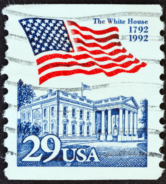 White House and flag (USA 1992) Wall Mural