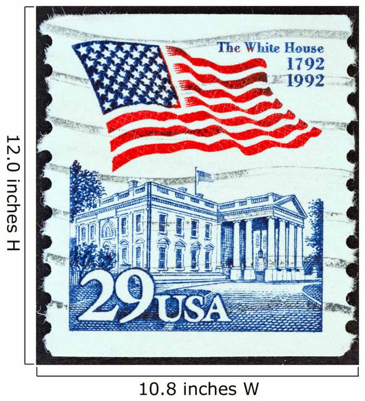 White House and flag (USA 1992) Wall Mural