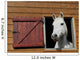 Pony window Wall Mural