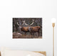Red Deer Wall Mural