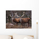 Red Deer Wall Mural