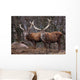 Red Deer Wall Mural