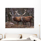 Red Deer Wall Mural