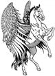 White Pegasus 