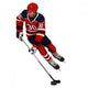 Hockey Player Wall Decal Design 1