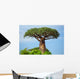 Baobab 