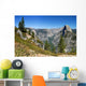 Yosemite Half Dome Wall Mural
