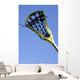 Lacrosse Stick in the Sky Wall Mural