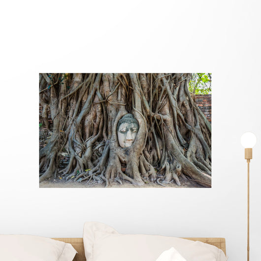 Buddha Head Banyan Tree Wall Decal