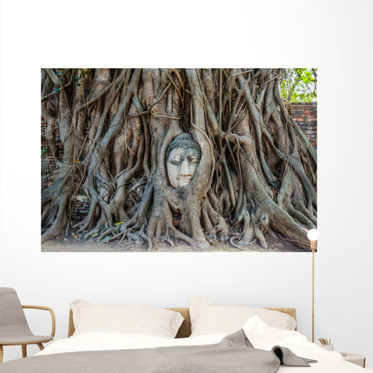 Buddha Head Banyan Tree Wall Decal