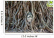 Buddha Head Banyan Tree Wall Decal