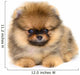 Pomeranian Puppy Wall Decal
