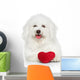 Bichon Frise Dog with Valentine Red Heart Wall Decal