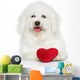 Bichon Frise Dog with Valentine Red Heart Wall Decal