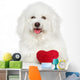 Bichon Frise Dog with Valentine Red Heart Wall Decal