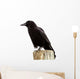 American Crow Black Bird on Wood Pole in California Wall Decal