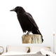 American Crow Black Bird on Wood Pole in California Wall Decal