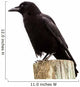 American Crow Black Bird on Wood Pole in California Wall Decal