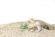 Seashells on Sand Stones Wall Decal