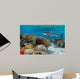 Colorful underwater coral reef with yellow stripped fish and big 
