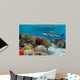 Colorful underwater coral reef with yellow stripped fish and big 