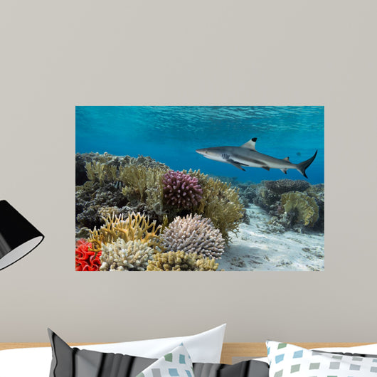 Colorful underwater coral reef with yellow stripped fish and big 