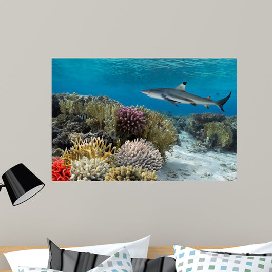 Colorful underwater coral reef with yellow stripped fish and big 