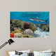 Colorful underwater coral reef with yellow stripped fish and big 
