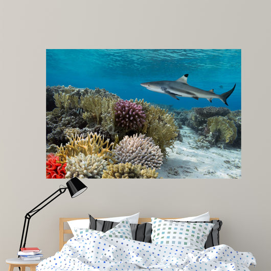 Colorful underwater coral reef with yellow stripped fish and big 