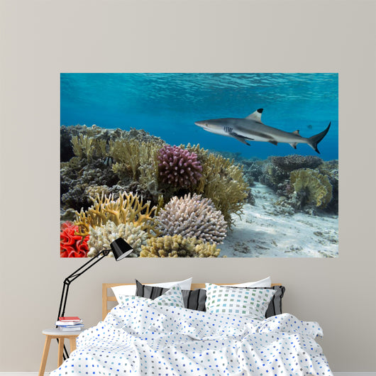 Colorful underwater coral reef with yellow stripped fish and big 