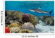 Colorful underwater coral reef with yellow stripped fish and big 