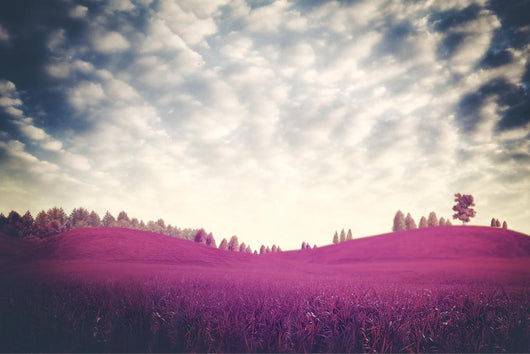 Surreal Dramatic Landscape Ultraviolet Foliage 
