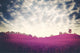 Surreal Dramatic Landscape Ultraviolet Foliage 