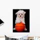 A Small Cute Dog Playing Basketball Wall Mural