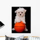 A Small Cute Dog Playing Basketball Wall Mural