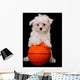 A Small Cute Dog Playing Basketball Wall Mural