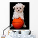 A Small Cute Dog Playing Basketball Wall Mural