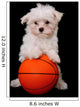 A Small Cute Dog Playing Basketball Wall Mural