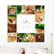 spa mix 
