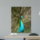 Peacock Vertical Wall Decal