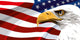The national symbol of the United States of America 